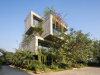 Xu hướng kiến trúc Biophilic: Đưa thiên nhiên vào phòng khách