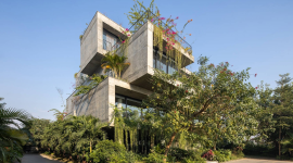Xu hướng kiến trúc Biophilic: Đưa thiên nhiên vào phòng khách
