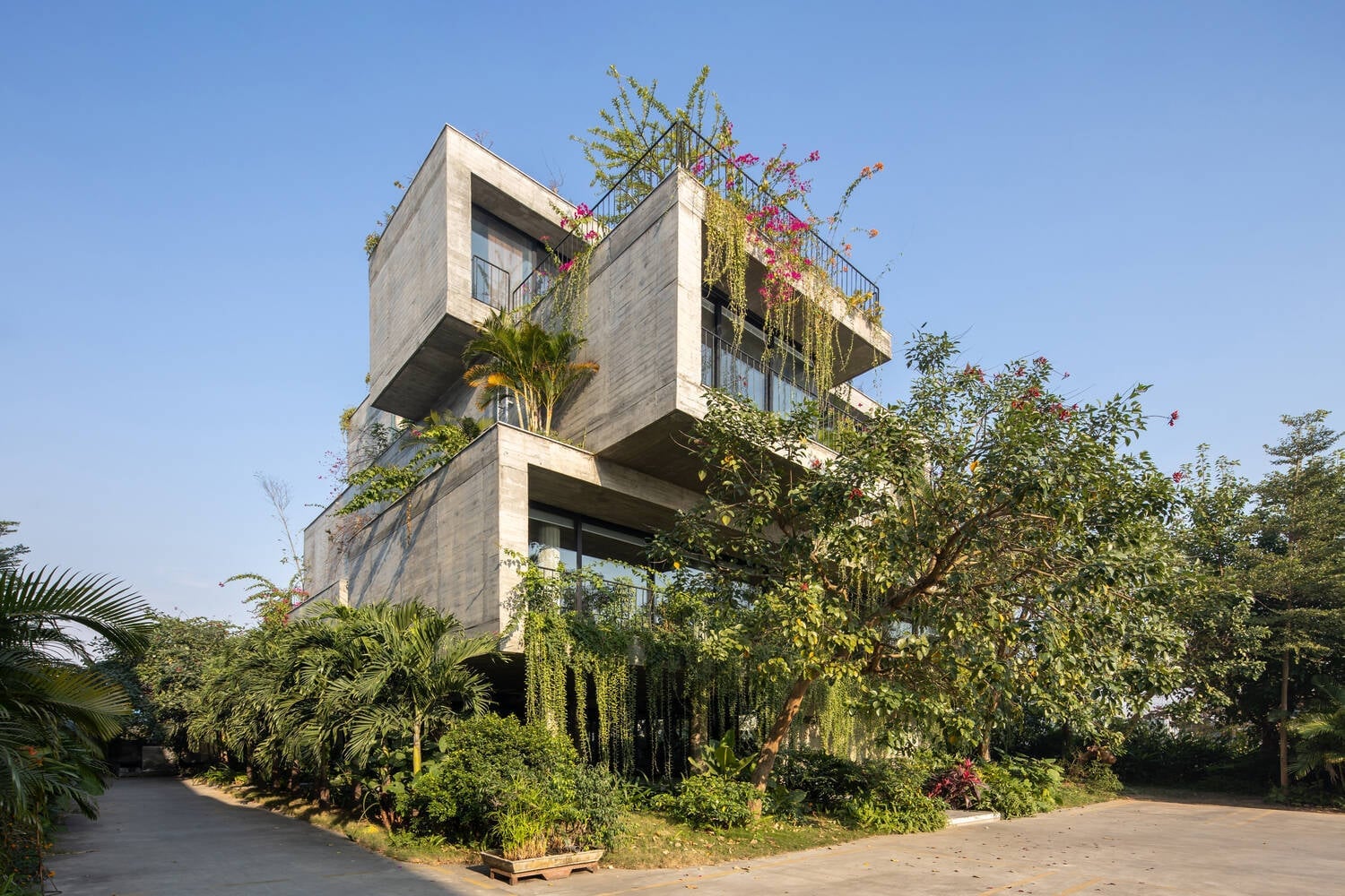 Kiến trúc Biophilic